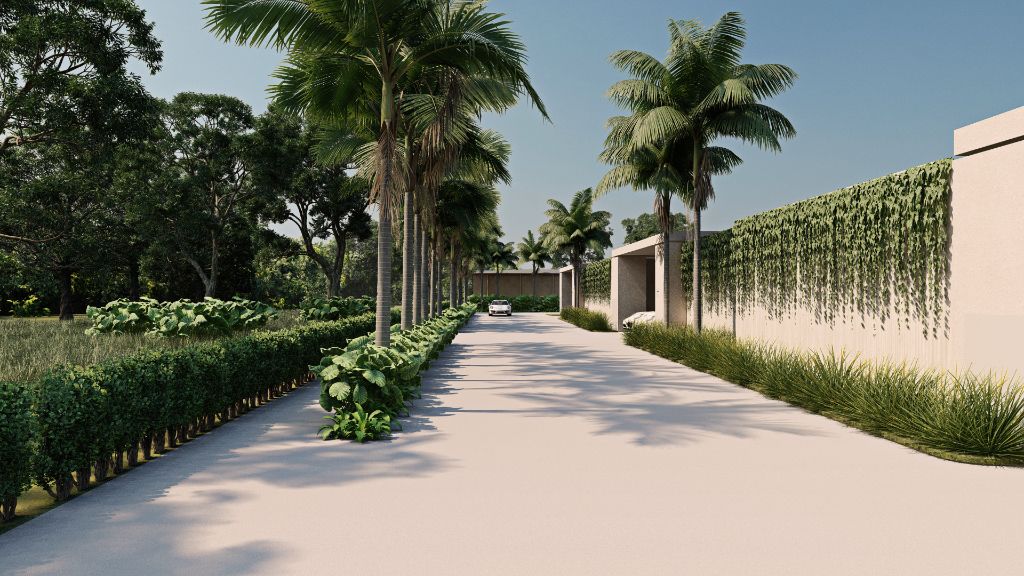 The Proper Palma — palm-lined arrival drive and villa boundary wall