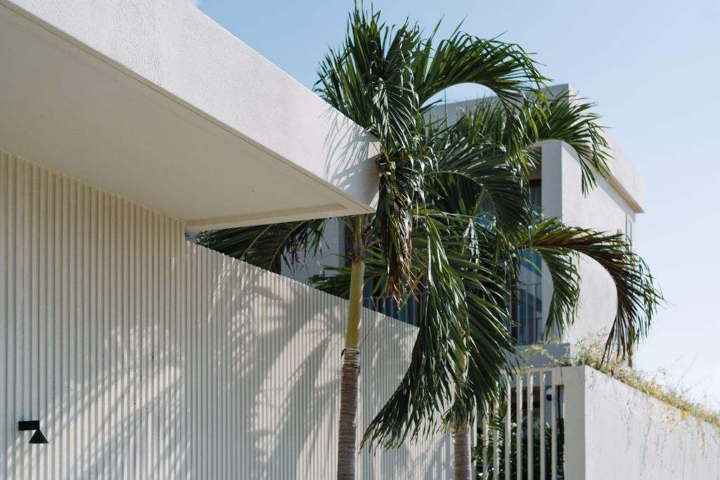 Sunroom two-storey palm-lined facade